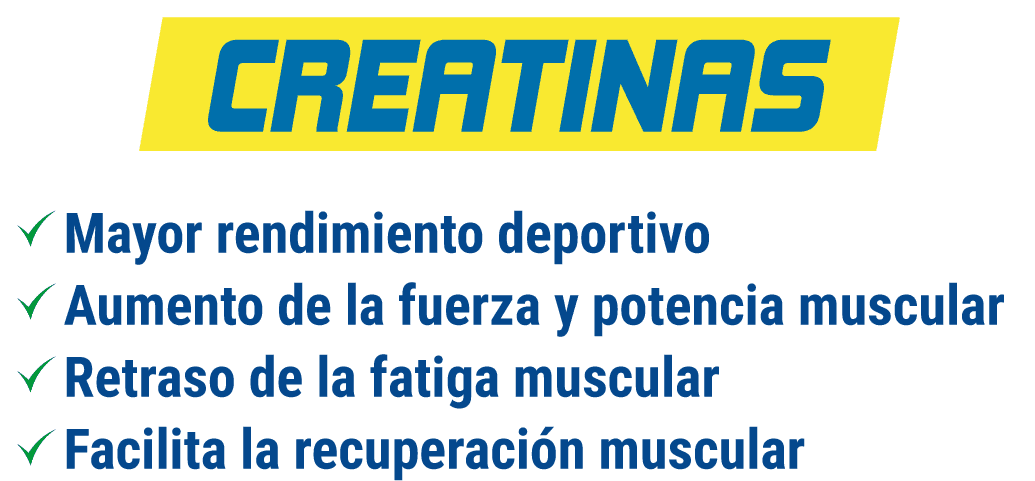 beneficios creatinas bodychange.cl